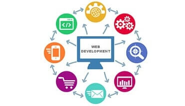 Website Development Company Delhi NCR